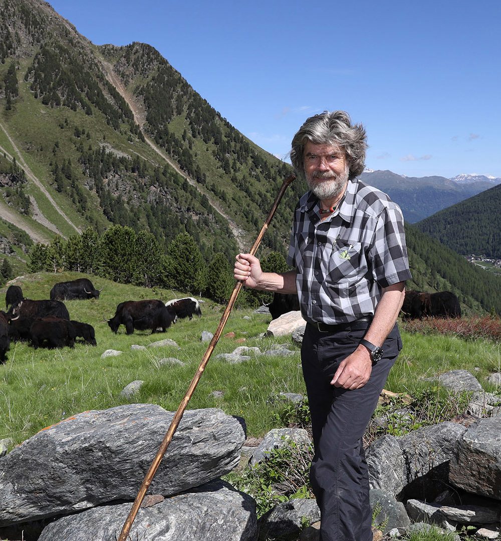 Reinhold Messner treibt die  Yaks von Sulden am Ortler auf den Berg
Zum 31. Mal treibt Reinhold Messner seine Yaks vom Winterquartier in Sulden am Ortler (2000m Höhe) auf die Alm (3000m), wo sie den Sommer verbringen. Bei Wintereinbruch gehen sie dann alleine wieder vom Berg herunter.
Reinhold Messner hat die Yaks vor über 30 Jahren während seiner vielen Reisen nach Tibet mitgebracht. 
Copyright by
Sammy Minkoff
Langaeckerstrasse 12
82279 Eching am Ammersee
Tel:+49-8243-99 78 58
mobil: +49- 171 426 49 72